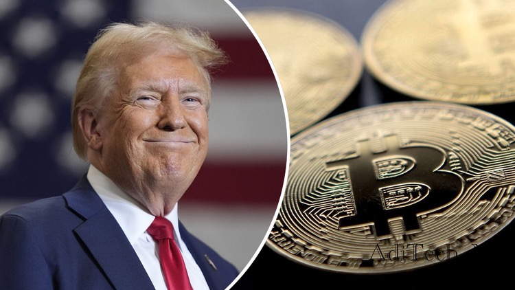 The Cryptocurrency Bull Run: Why It’s Happening and What You Should Know