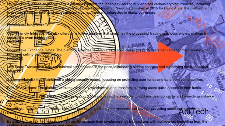 NairaEx: The Crypto Exchange in Nigeria ??